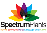 Spectrum Plants